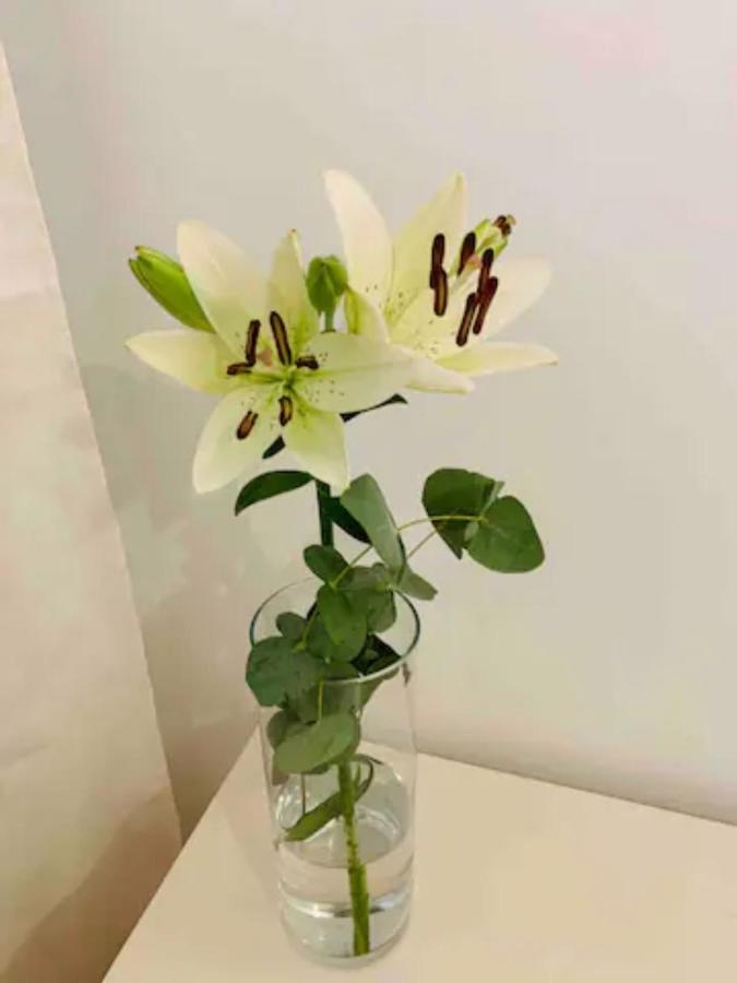 Puerto Banus Apartment มาร์เบยา ภายนอก รูปภาพ